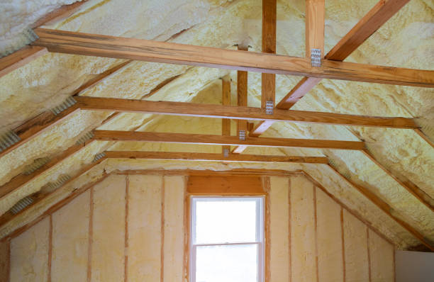 Best Spray Foam Insulation  in Lowry Crossing, TX