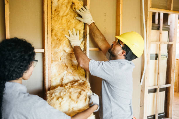 Best Affordable Insulation Services  in Lowry Crossing, TX