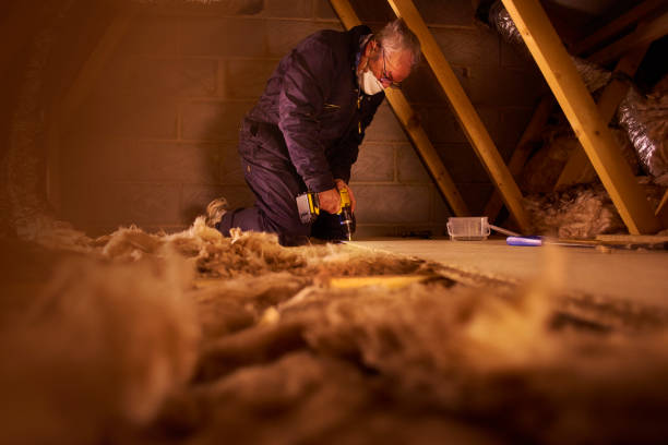 Best Crawl Space Insulation  in Lowry Crossing, TX