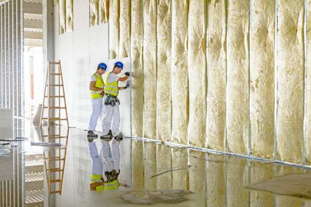 Best Attic Insulation Installation  in Lowry Crossing, TX
